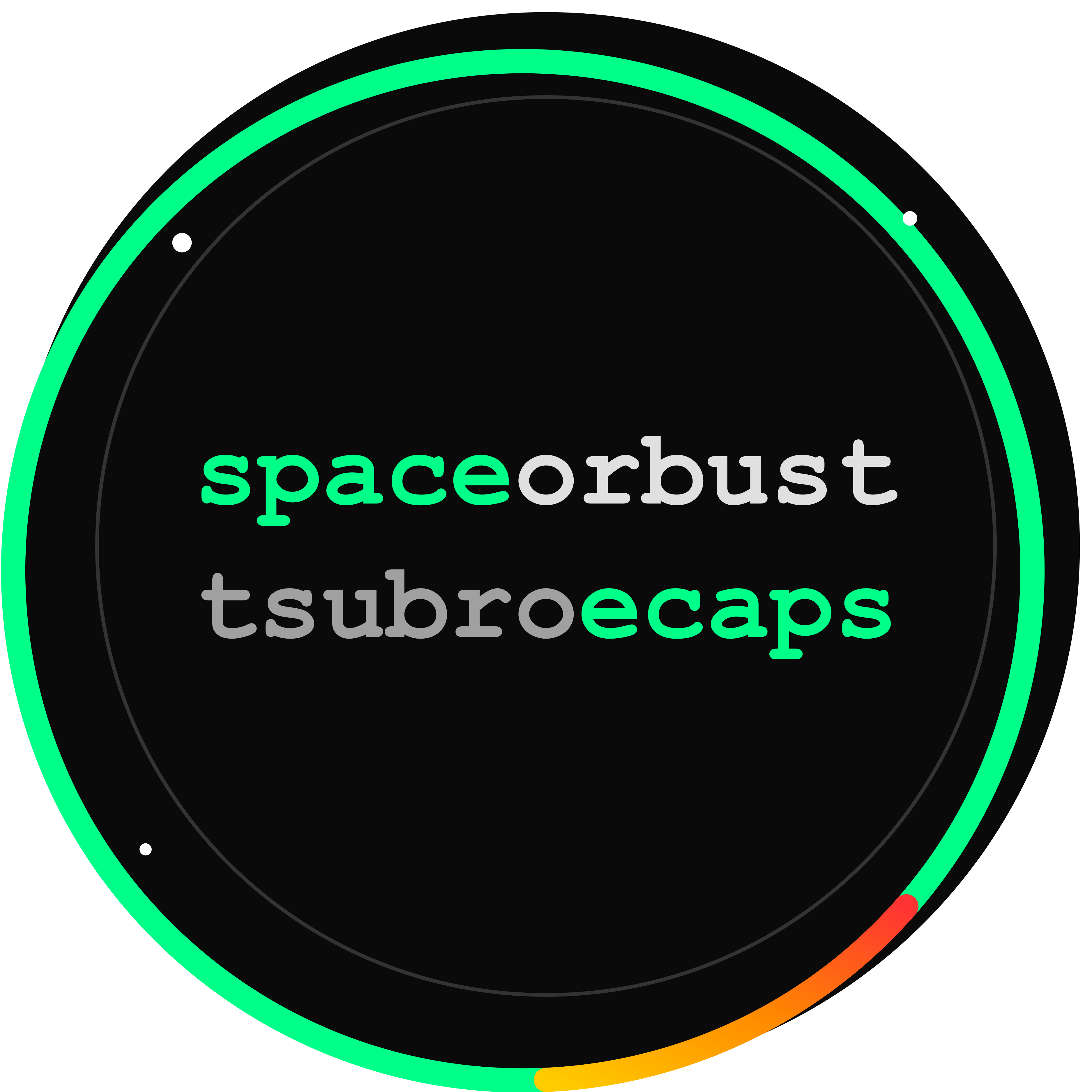 Space or Bust Circle Logo
