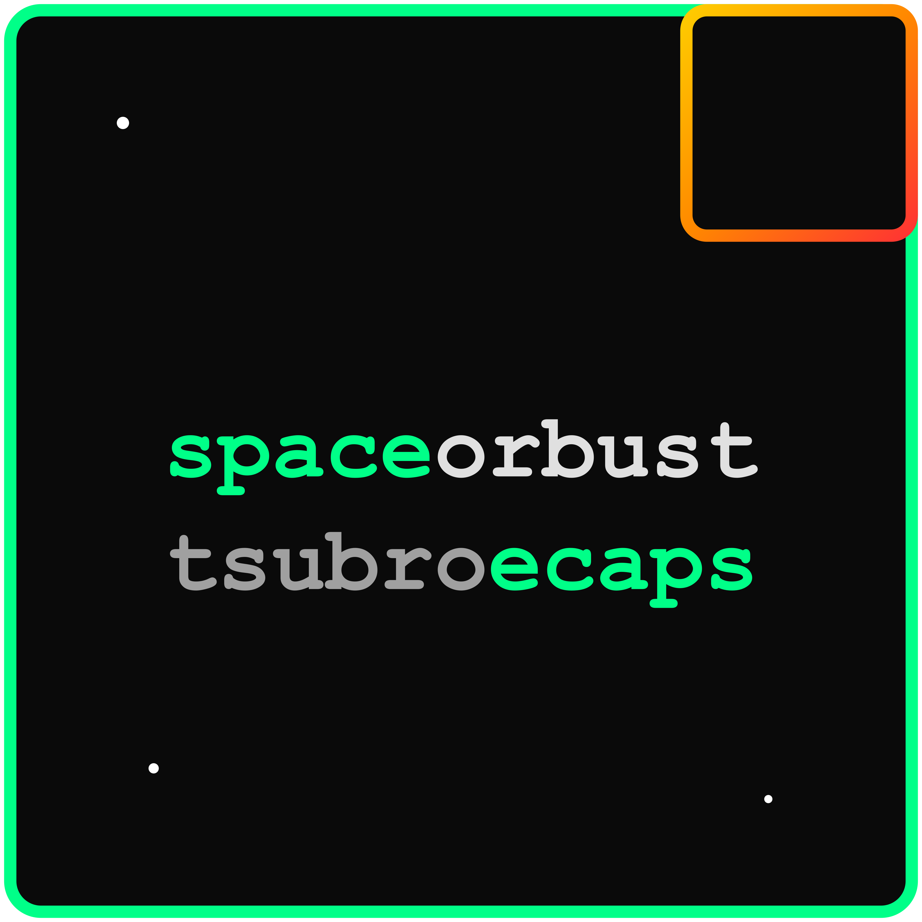 Space or Bust Split Logo